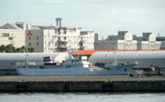 b0192588_11792.jpg