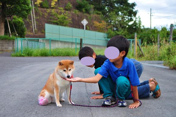賑やかなお散歩②_a0126590_18173284.jpg
