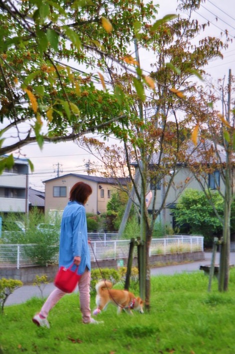 賑やかなお散歩②_a0126590_18202388.jpg