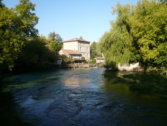 a0147890_20502861.jpg