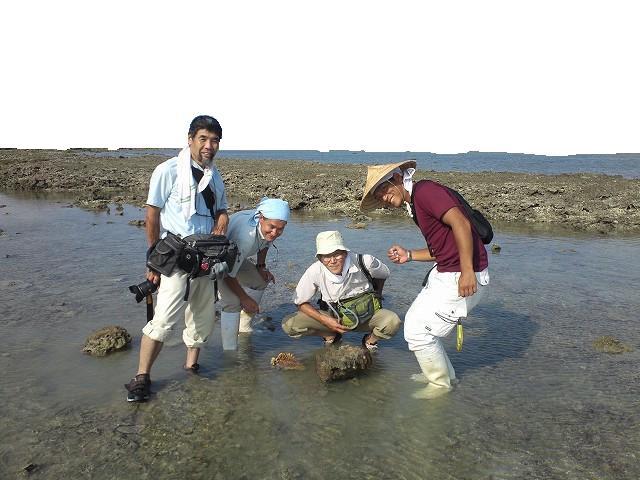 クモの先生が来沖しました_a0247891_16494680.jpg