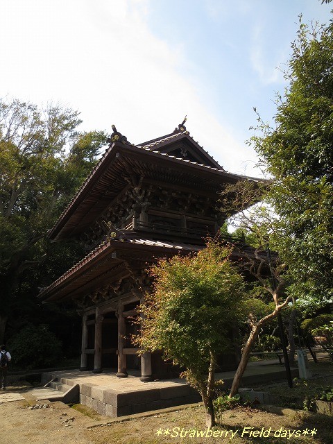 c0087094_1721595.jpg