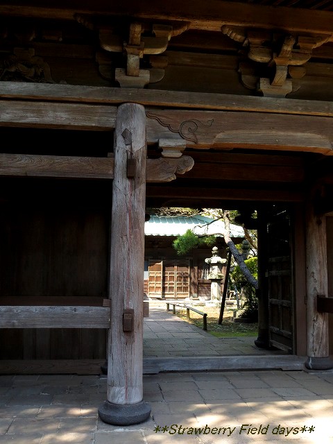 c0087094_17243381.jpg