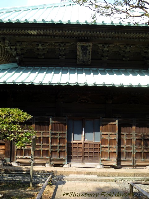 c0087094_17245939.jpg