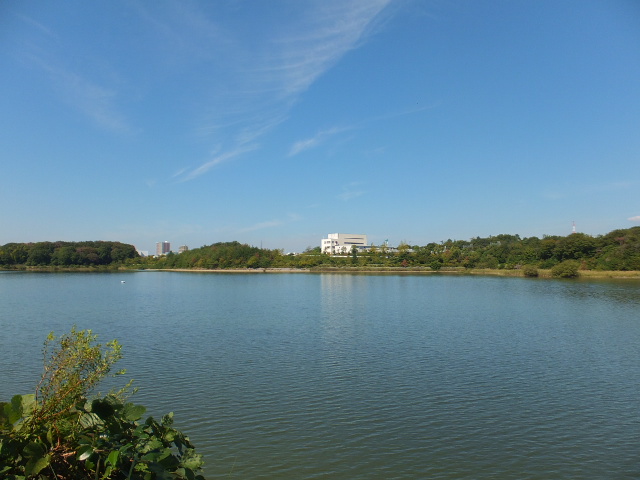 a0271502_17114823.jpg