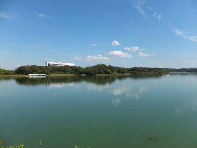 a0271502_17342692.jpg