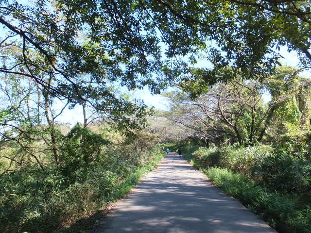 a0271502_179410.jpg