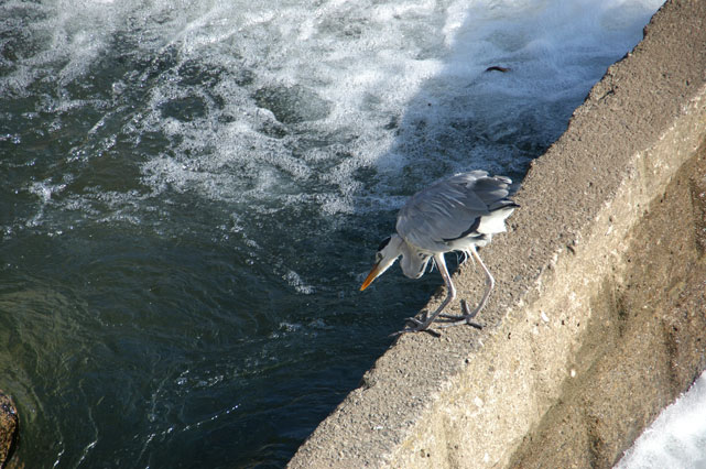 f0036603_21774.jpg