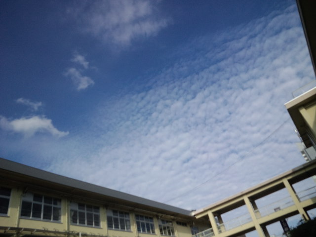 f0197703_1392100.jpg