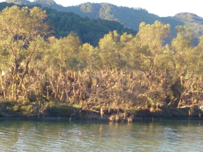 e0252905_17243532.jpg
