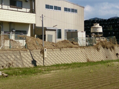 e0252905_17261411.jpg