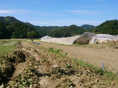 e0252905_17265542.jpg