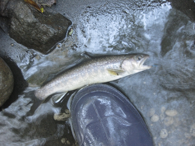 a0138609_6282126.jpg
