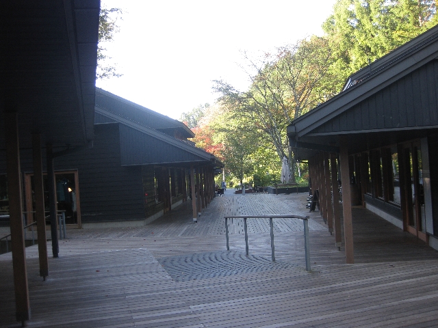 a0138609_6312226.jpg