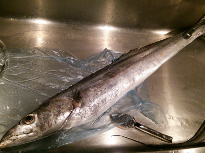 阿久根のドラゴン!_f0157910_15304240.jpg
