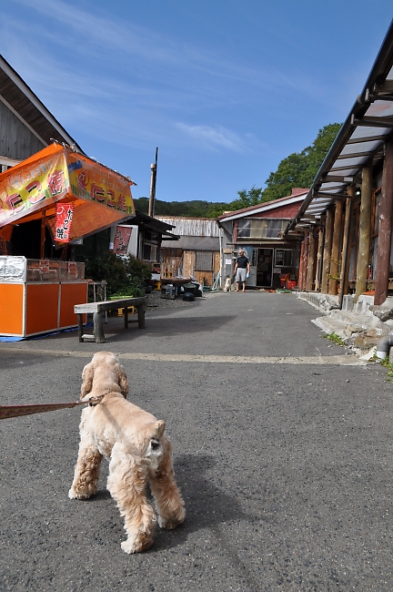 国見温泉への道_b0067012_11141263.jpg