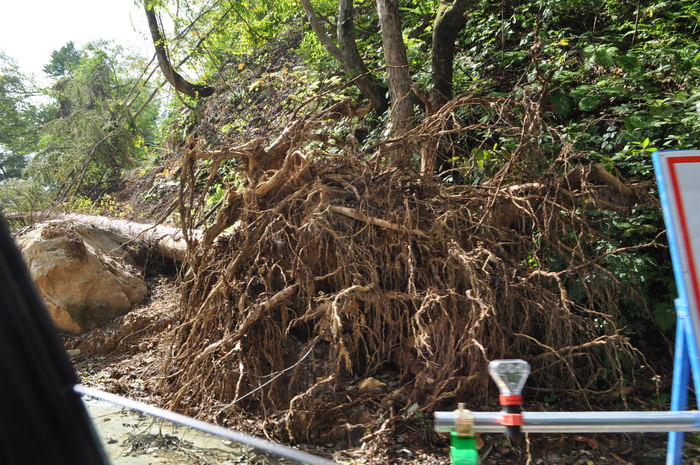 国見温泉への道_b0067012_119457.jpg