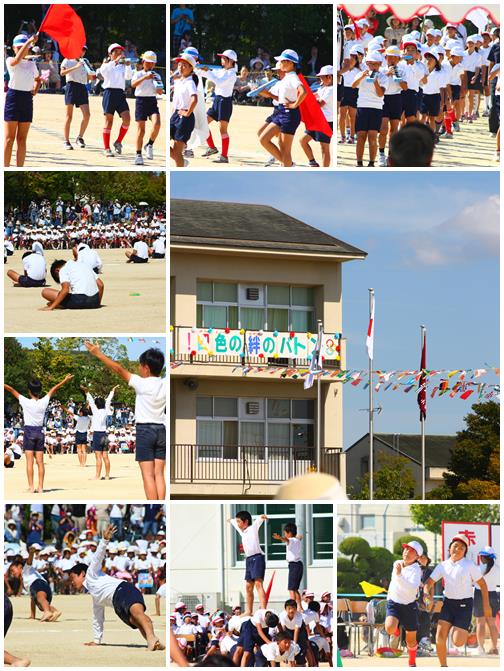 ■■　アレルギーっこ小学校最終学年の運動会!_b0163114_17335618.jpg