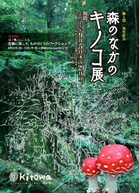 森のなかのキノコ展終了しました_d0263815_11383670.jpg