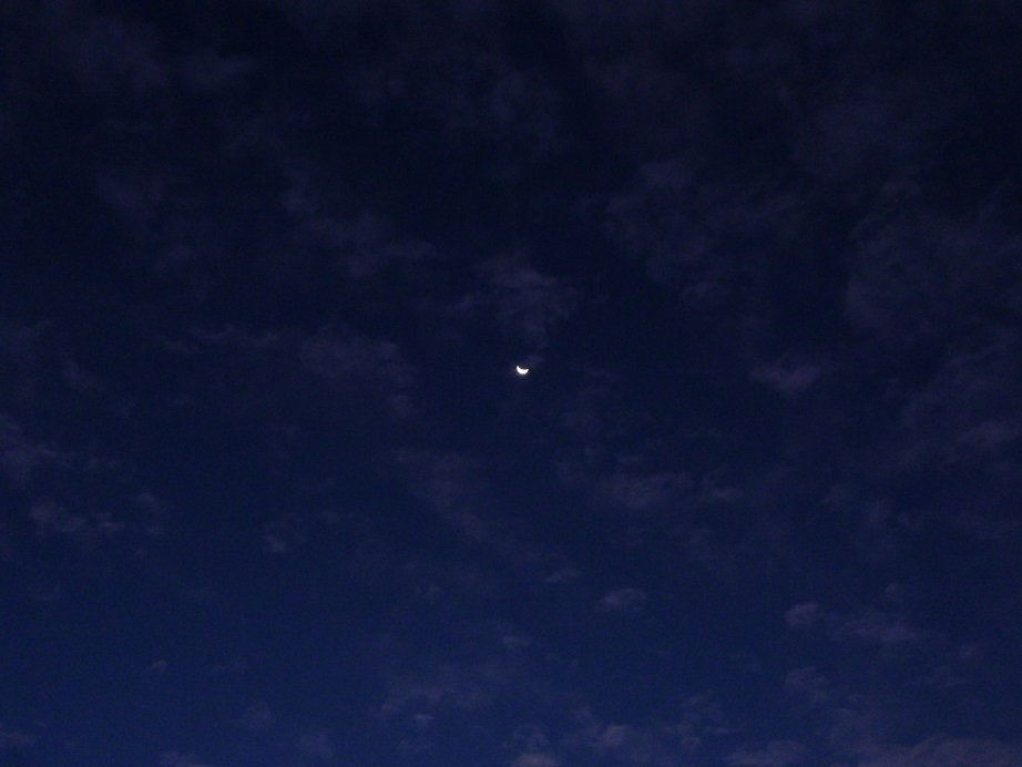 f0228619_10395422.jpg