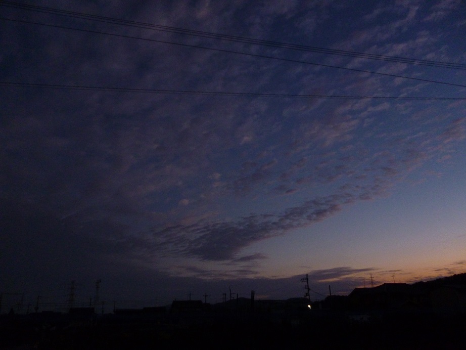 f0228619_10461131.jpg
