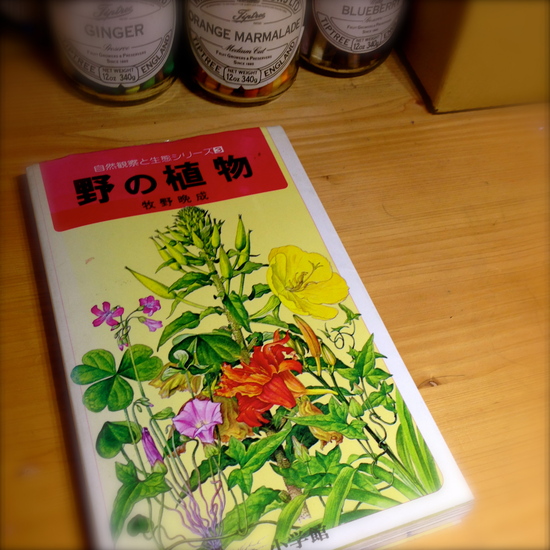 秋の花と植物図鑑_a0112420_2004378.jpg