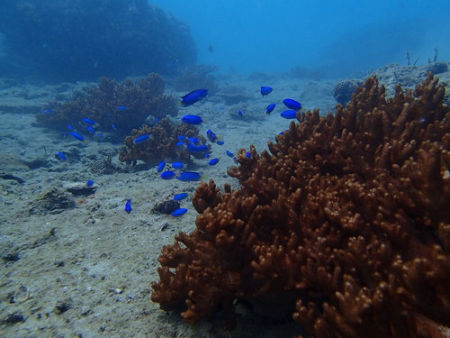 c0115421_2137401.jpg