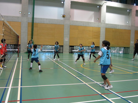 d0138226_15192.jpg