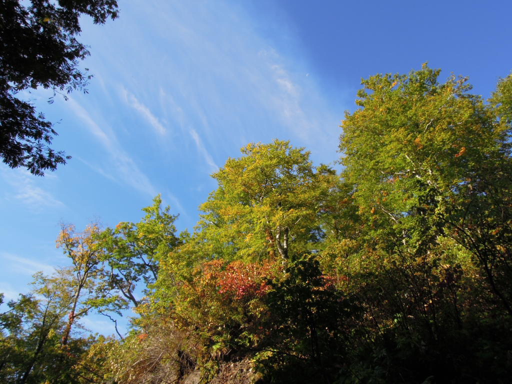 e0147226_0161039.jpg