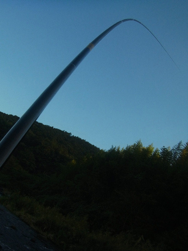 f0103126_2057627.jpg