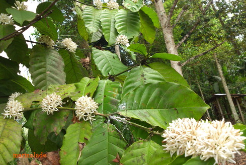 f0191927_22133734.jpg