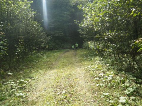 e0026331_94346.jpg