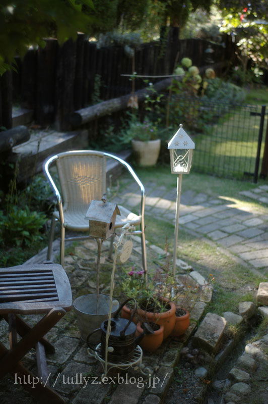 d0108132_1155038.jpg