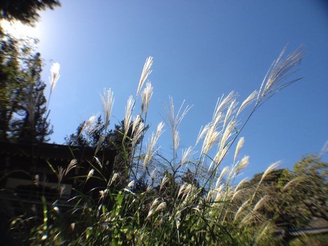 f0029541_18241078.jpg