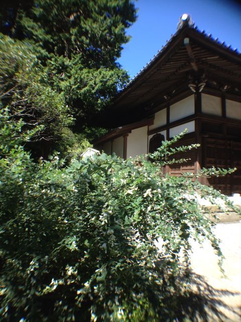 f0029541_18241237.jpg