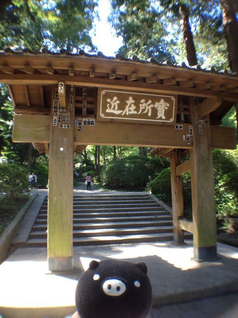f0029541_182467.jpg