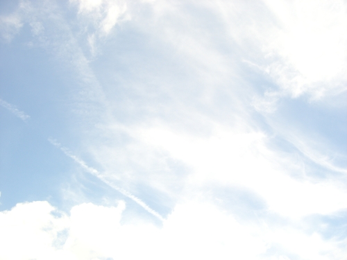 c0264343_23383837.jpg