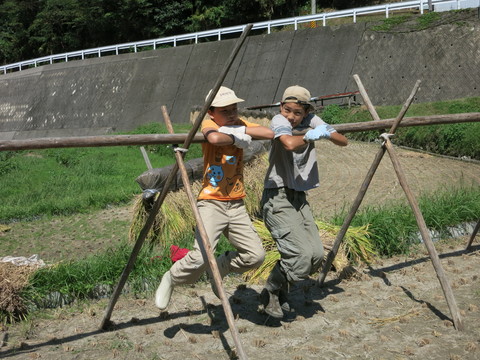 e0020945_8234725.jpg