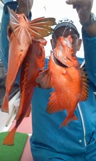 c0306546_12494499.jpg