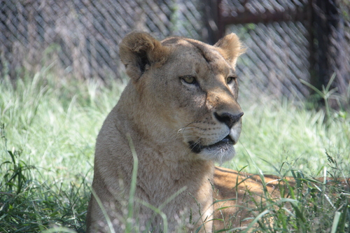 a0228449_16593575.jpg