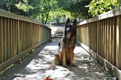 ひさしぶり♪葛西臨海公園でラン♪ラン♪_a0254949_1312473.jpg