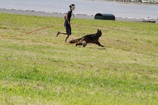 ひさしぶり♪葛西臨海公園でラン♪ラン♪_a0254949_1333481.jpg