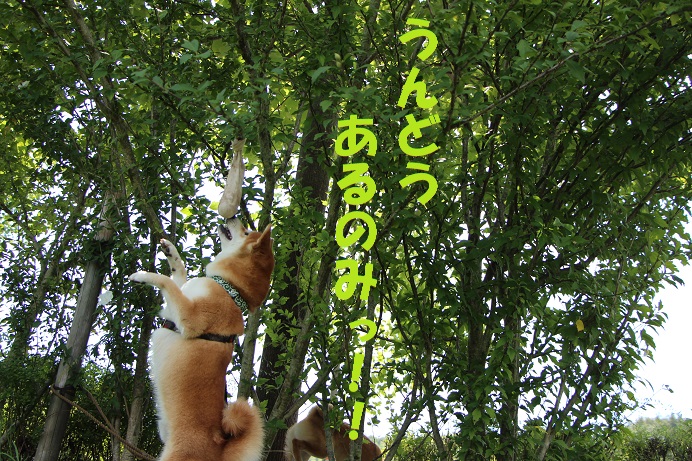f0245650_8241090.jpg