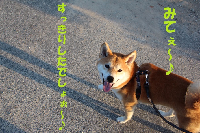 f0245650_8384222.jpg