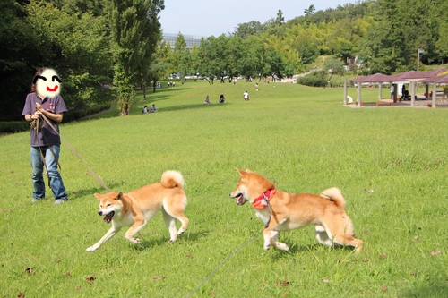 f0245650_8431399.jpg