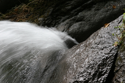 a0290852_2022094.jpg