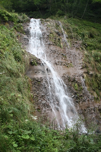 a0290852_20284877.jpg