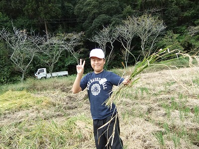 イネかり_b0211757_19202062.jpg