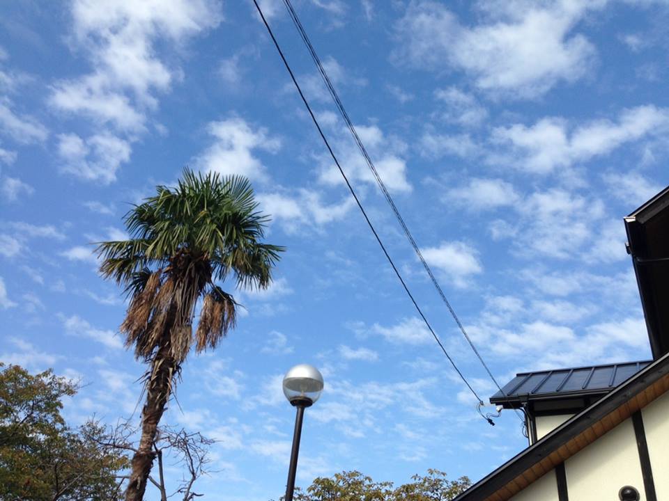 c0115560_9195817.jpg