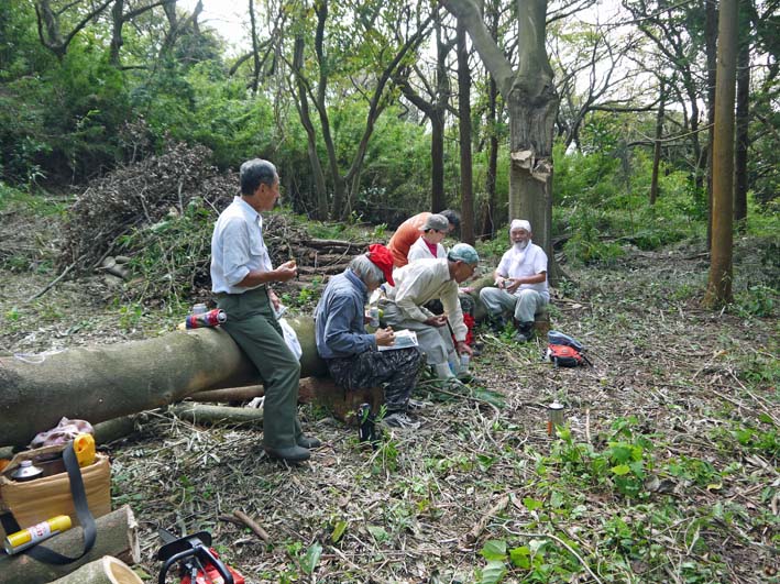 裂けたエノキは座り心地満点の椅子9・30六国見山臨時手入れ_c0014967_20124436.jpg